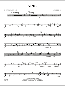Viper - Bb Tenor Saxophone 
