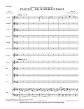 Peaceful the Wondrous Night - Score