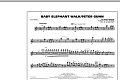 Baby Elephant Walk/Peter Gunn - Flute/Piccolo