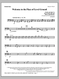Welcome To The Place Of Level Ground - Double Bass