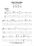 Can't You See