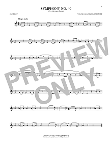 Symphony No. 40 In G Minor, First Movement Excerpt 