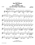 Styx in Concert - Guitar