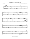 Eine Kleine Nachtmusik