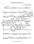 The Music Of The Night (from The Phantom Of The Opera)