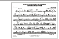 Breaking Free (from High School Musical) - Flute/Piccolo
