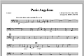 Panis Angelicus - Cello