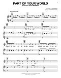 Part Of Your World (from The Little Mermaid)