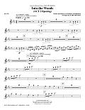 Into the Woods - Flute