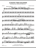 Across the Halfpipe (Mvt. 3 of "Minnesota  Portraits") - Flute 2