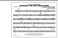 Through the Fire and Flames - Bb Horn/Flugelhorn