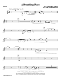 A Breathing Place - Violin