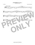 Symphony No. 1 In C Minor, Fourth Movement Excerpt