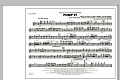 Pump It - Flute/Piccolo