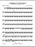 Cambrian Explosion - Mallet Percussion 3
