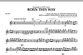 Born This Way - Flute
