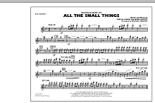 All The Small Things - Flute/Piccolo 
