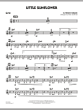 Little Sunflower - Guitar