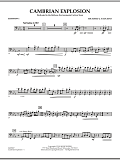 Cambrian Explosion - Bassoon 1