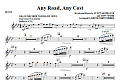 Any Road, Any Cost - Flute
