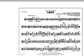 Lost! - Flute/Piccolo