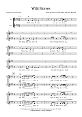 Wild Horses (arr. Tim Allen) - Choral Score