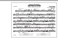 Superstition (includes "Living for the City" Intro) - Flute/Piccolo