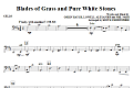 Blades Of Grass And Pure White Stones - Cello