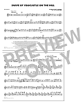 Shape Of You/Castle On The Hill - Flute/Piccolo