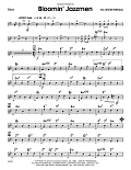 Bloomin' Jazzmen - Bass