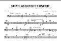 Stevie Wonder In Concert - Timpani