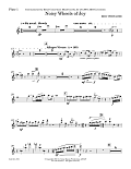 Noisy Wheels Of Joy - Flute 1