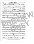 Shakedown - Flute 2