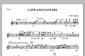 Capilano Fanfare (Digital Only) - Flute 1