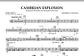 Cambrian Explosion - Percussion 2