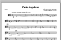 Panis Angelicus - Viola