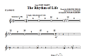 The Rhythm Of Life - Xylophone