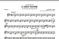 Caro Nome (from "Rigoletto") - Violin 2