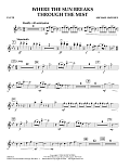 Where the Sun Breaks Through the Mist - Flute