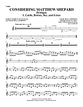 Considering Matthew Shepard - Violin