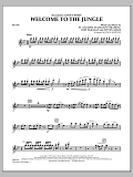 Welcome to the Jungle - Flute