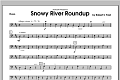 Snowy River Roundup - Bass