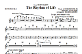 The Rhythm Of Life - Flute/Piccolo